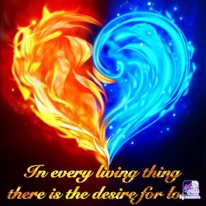 Meet your Posher, Tamesha